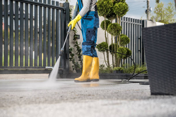 Best Building Exterior Washing  in Las Palmas Ii, TX
